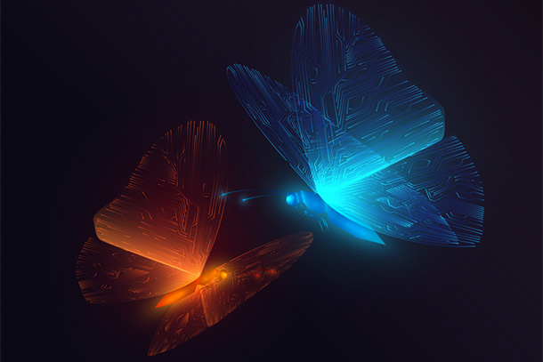 graphic image of two butterflies, one orange and one blue, facing eachother.