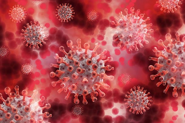 illustration of virus particles