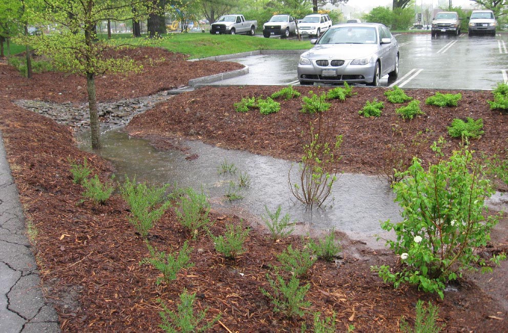 rain collects in a biorention stormwater basin