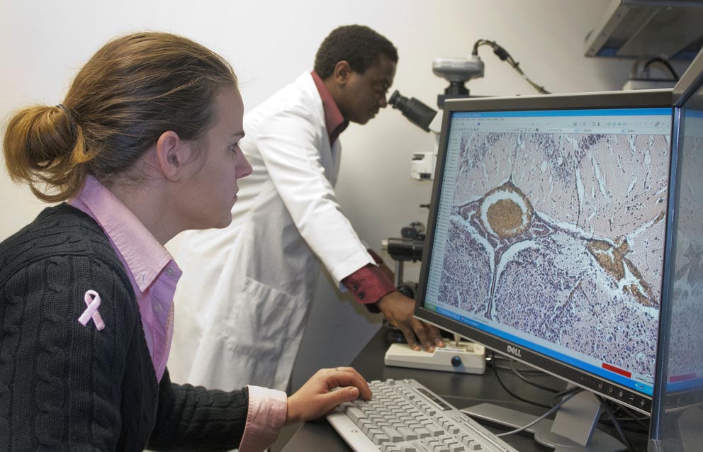 a women looks at an image on a computer screen while a man in the background looks through a microscope