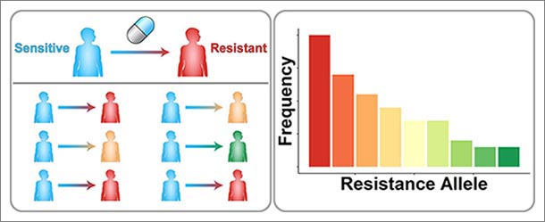 graph on left indicates treated patients with mutations. Graph on right shows population of mutations in bar graph.