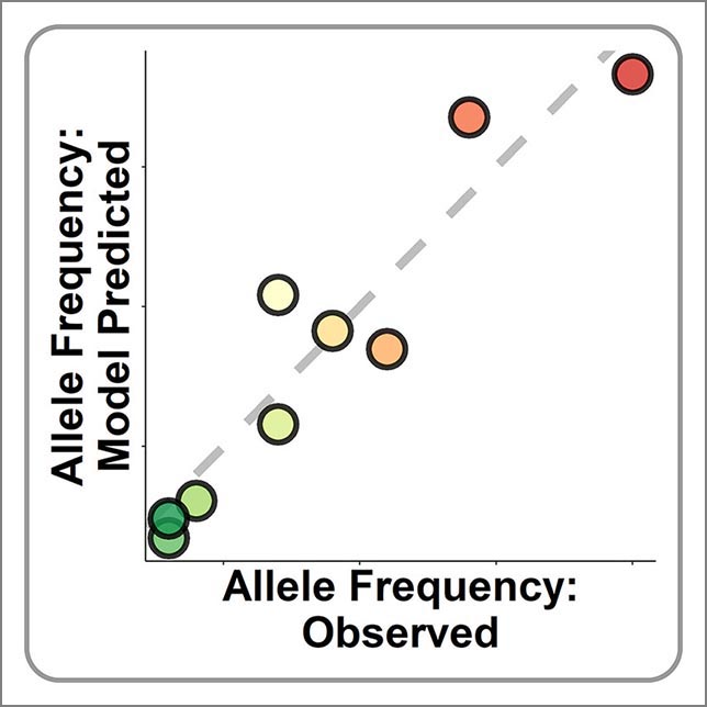 Line graph shows how closely the predicted results match the observed results