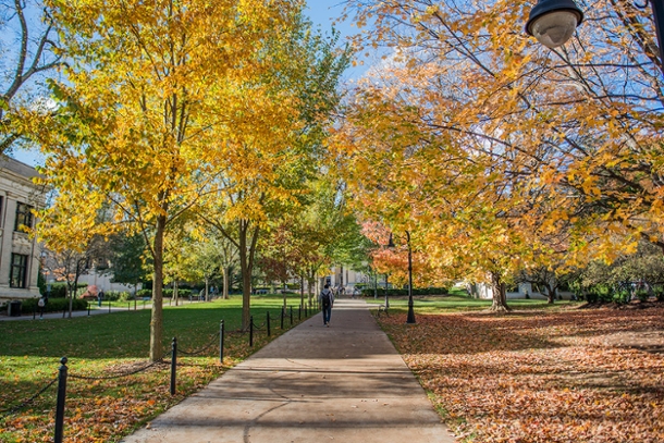 a landcape view of a campus walkway during the autumn season