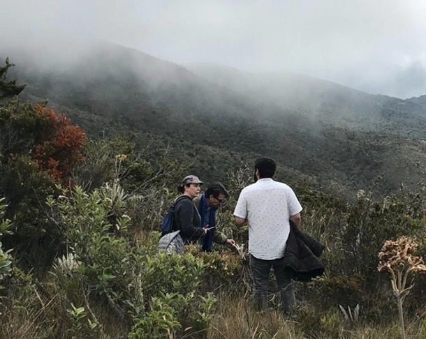 Group of researchers walk through a mountainous part of Chingaza National Natural Park, Colombia.