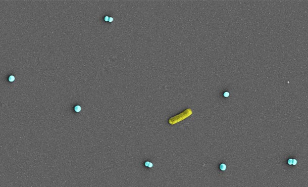 Small light blue dots and one cylindric yellow shape appear on a grey background.