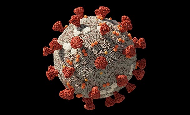 illustration of covid-19 virus