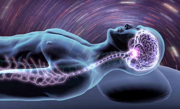 illustration of a sleeping person with brain activity highlighted