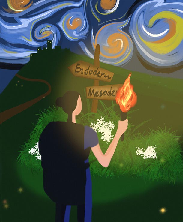 A painting of a woman using the light of a torch to reveal two signs reading Endoderm and Mesoderm. A city is in the background, and swirls of color represent the night sky.