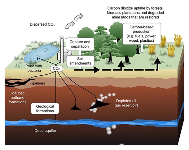 Illustration showing process of carbon production, capture, and storage