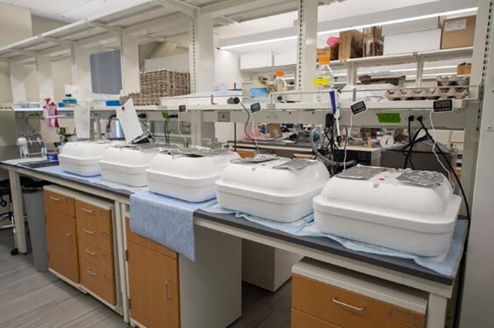 Five white boxes sit on top of a lab table surrounded by other lab equipment