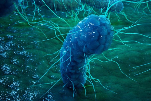 illustration of a bacterial cell with green lines protruding from it on a blue and green background