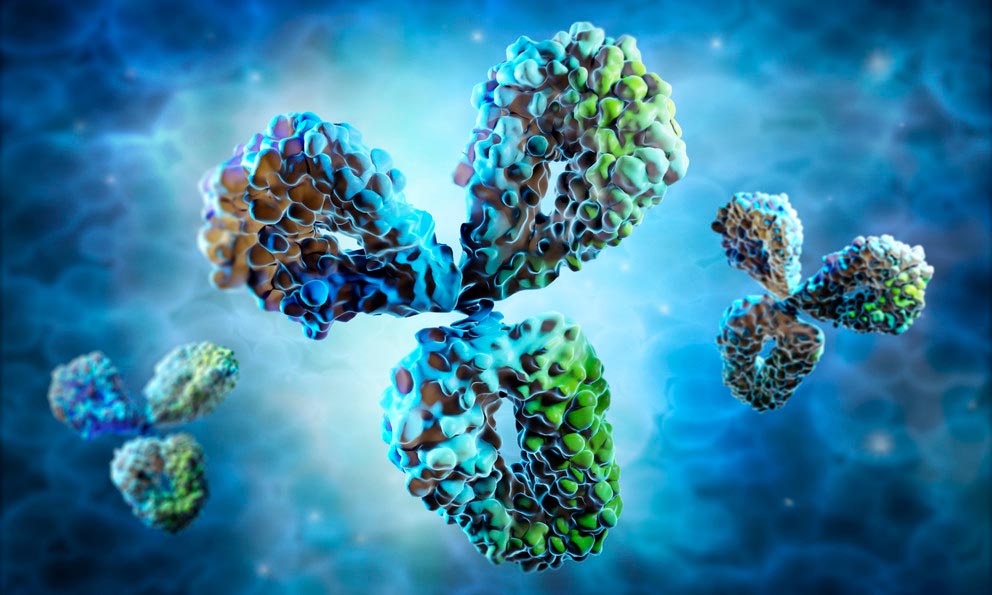 illustration of blue, green and aqua antibodies
