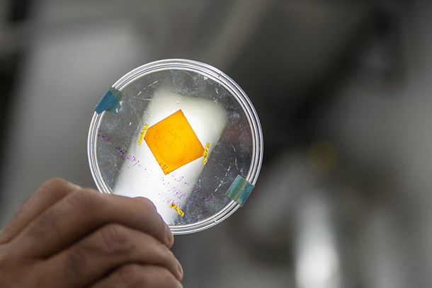 A hand holds a petri dish containing an orange material that has been marked with a fingerprint