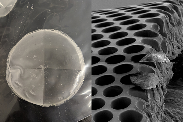 A round, flat, gray membrane is seen next to an electron microscope screenshot of the same membrane, upon which you can see tiny wells.