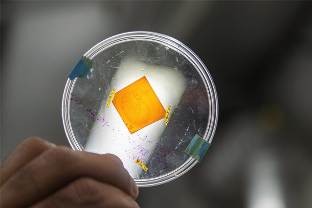 A hand holds a petri dish containing an orange material that has been marked with a fingerprint.