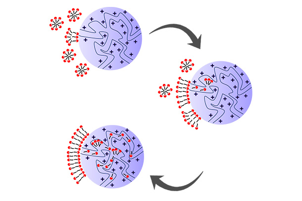 Three purple circles with black arrows