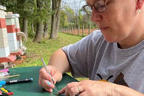 a person in gray t-shirt and glasses seated at table using tweezers to examine insect