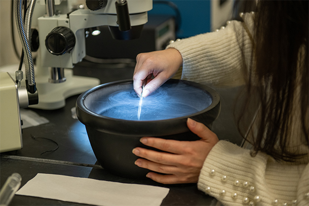 A scientist places a sample into a smoking bowl of liquid nitrogen with a pair of tweezers in a lab setting.