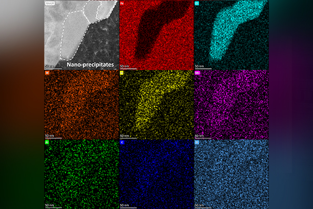 Grid of different colors representing different microscopic imaging