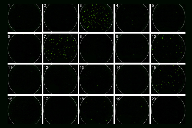 A grid of black circles with some displaying green dots