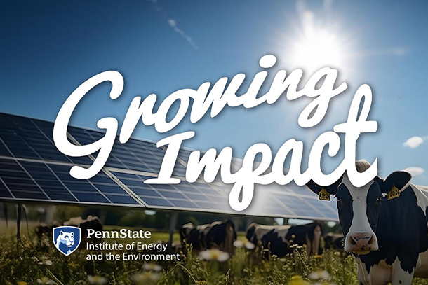 solar panels in a field with a cow standing looking forward and growing impact text overlay