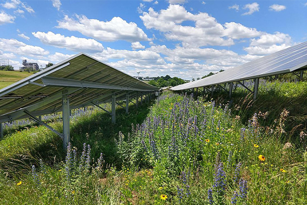 image of solar panels on a bright and sunny day in central Pennsylvania.