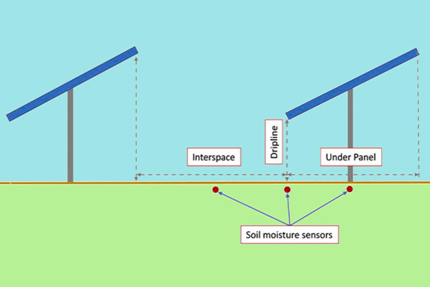 graphic of a side view of solar panels with red dots placed below soil level signifying soil moisture sensors