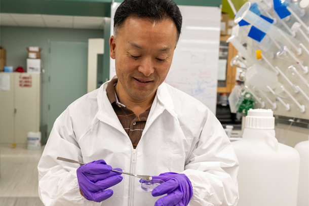 A person in a white lab coat and purple gloves examines a sample in a Petri dish