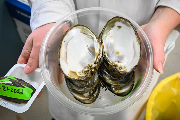 An individual wearing a lab coat holds mussel samples in a plastic container.