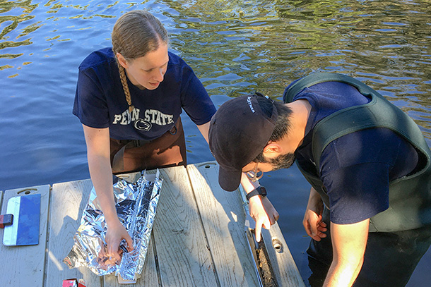 Two individuals standing at a dock in the water examining a specimen.