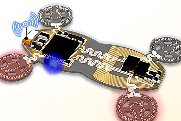 small, flexible robotic device