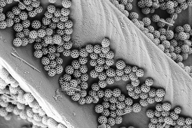 The 17th annual Materials Visualization Competition "Best of Show" award went to “Nano soccer balls from nature” by Jinsol Choi, postdoctoral scholar, Department of Mechanical Engineering.
